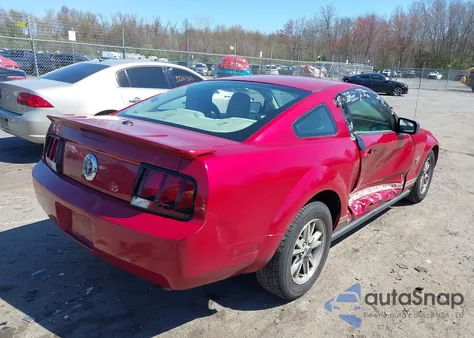 2009 Ford Mustang V6/V6 Premium z USA, uszkodzony, nr VIN 1ZVHT80N895141562